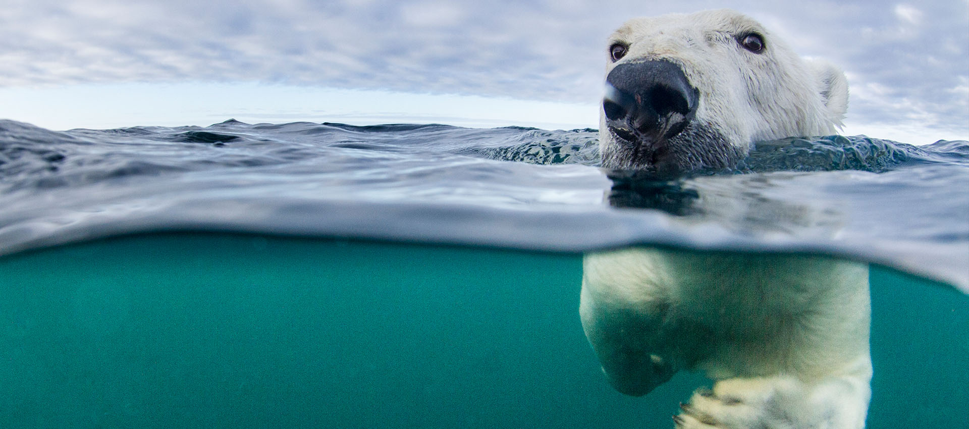 Coping With Climate Change Around The World | BBC Earth